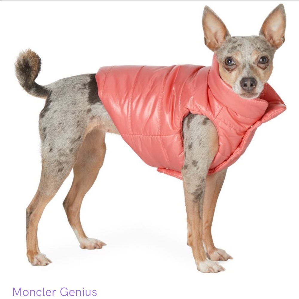 NWT dog moncler jacket, size 3